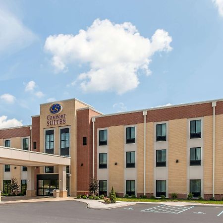 Comfort Suites Rensselaer Near Fair Oaks מראה חיצוני תמונה