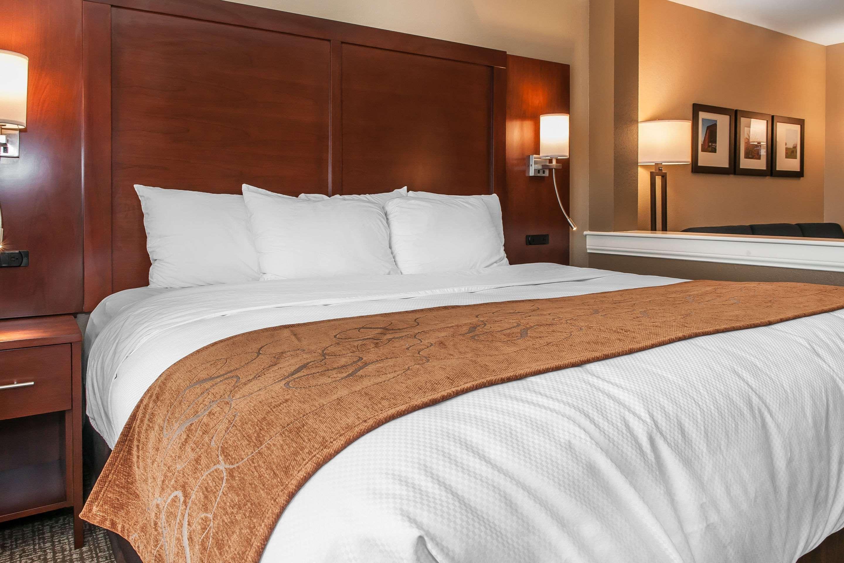 Comfort Suites Rensselaer Near Fair Oaks מראה חיצוני תמונה