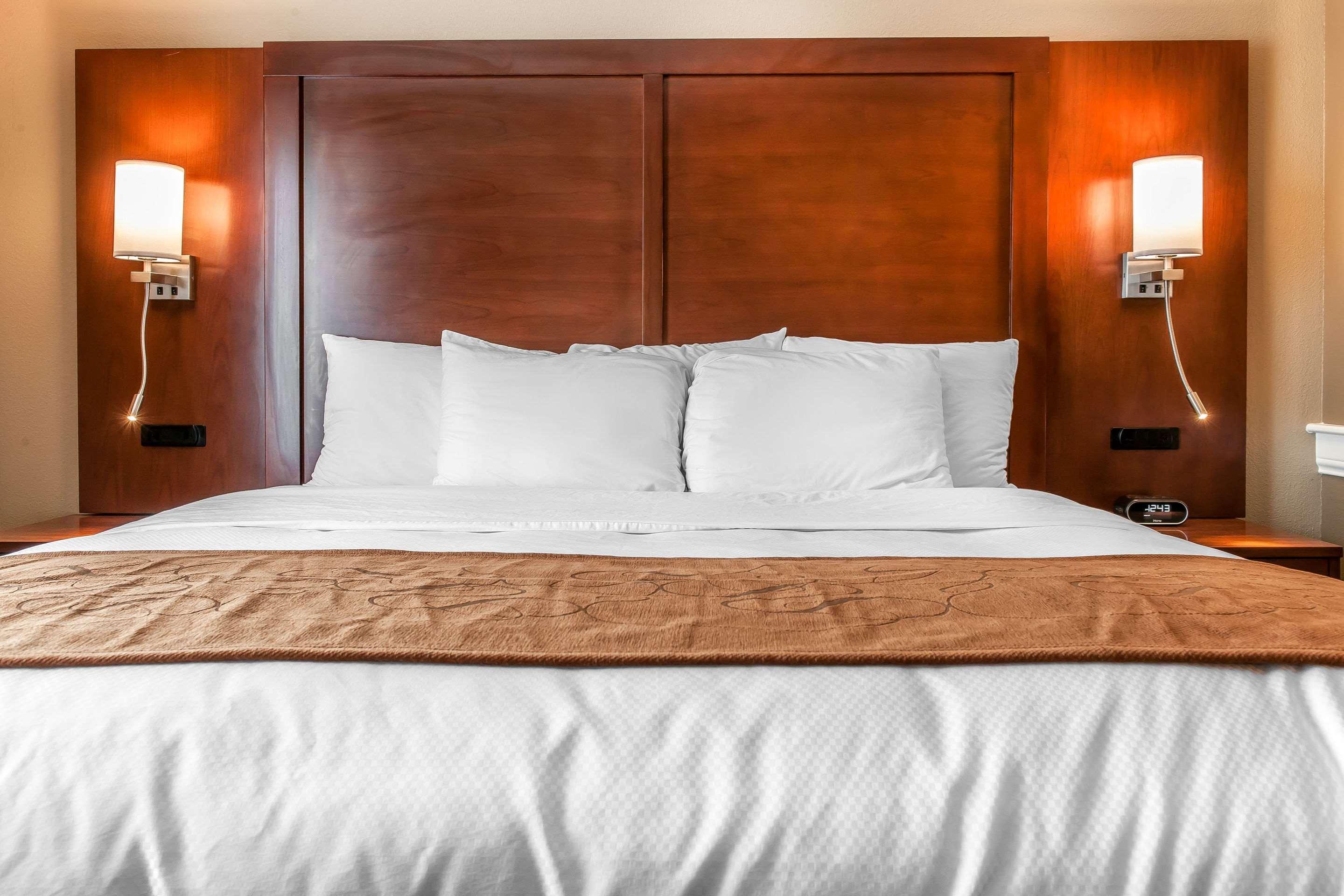 Comfort Suites Rensselaer Near Fair Oaks מראה חיצוני תמונה