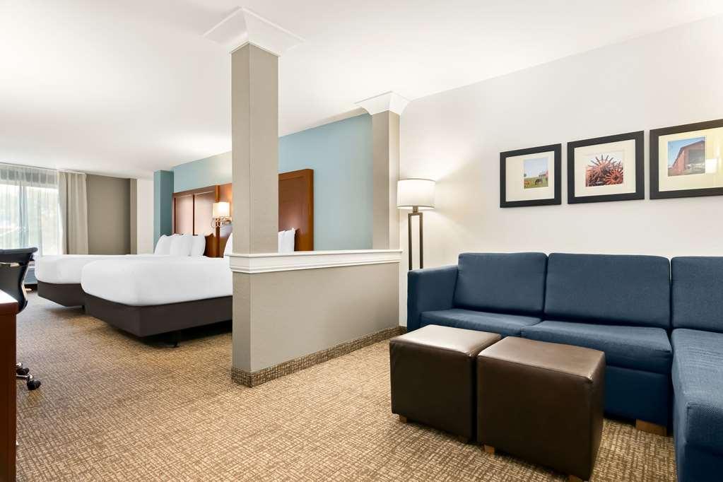 Comfort Suites Rensselaer Near Fair Oaks חדר תמונה